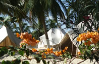 Guajirú Kite Safari