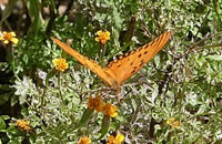 Guajirú ecotourism