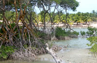 Guajirú ecotourism